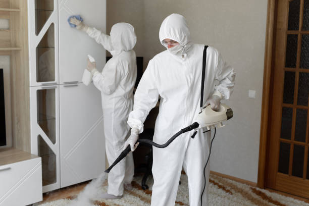 Mold Removal Process in Luck, WI